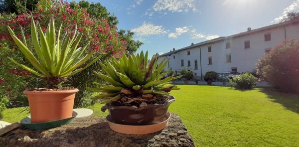 casa indipendente in vendita ad Alseno in zona Lusurasco