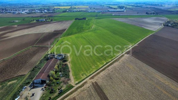 azienda agricola in vendita ad Alseno