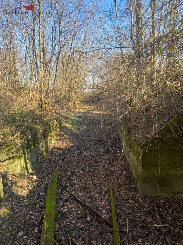 casa indipendente in vendita ad Alseno in zona Lusurasco