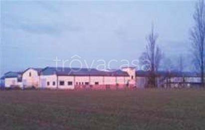 monolocale in vendita a Besenzone