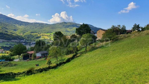 azienda agricola in vendita a Bettola