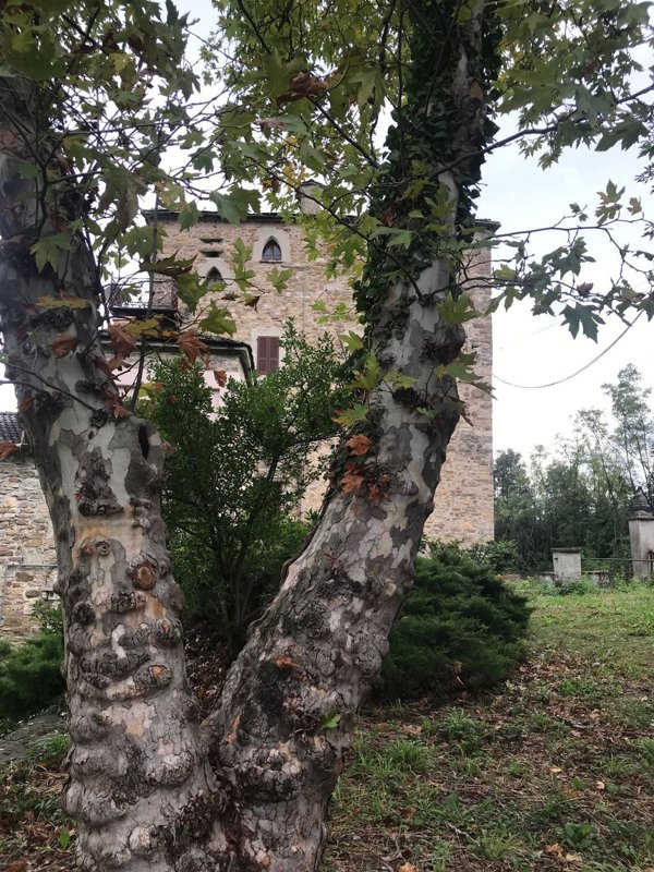 casa indipendente in vendita a Bettola