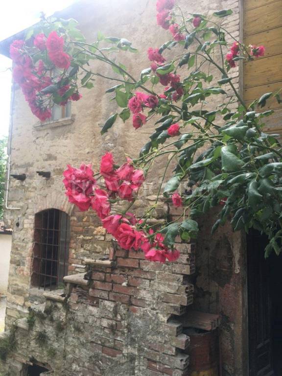 casa indipendente in vendita a Bettola