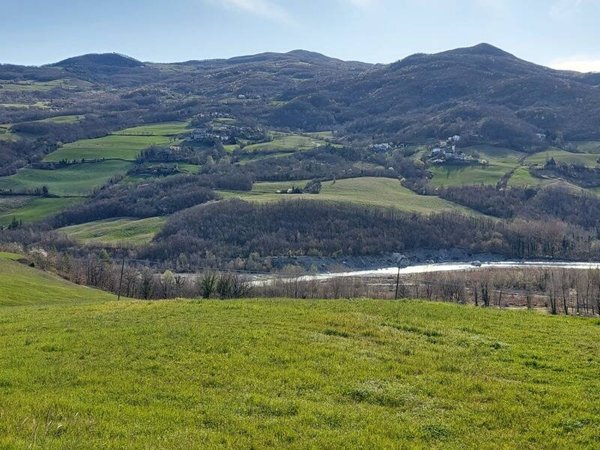 terreno agricolo in vendita a Bettola