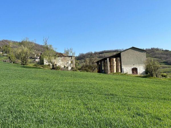 azienda agricola in vendita a Bettola