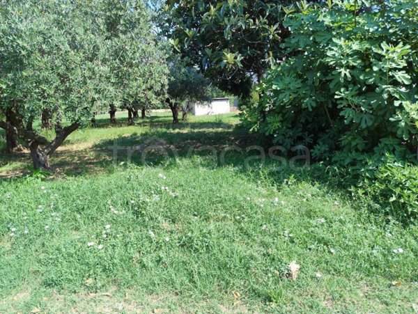 casa indipendente in vendita a Bobbio in zona San Cristoforo
