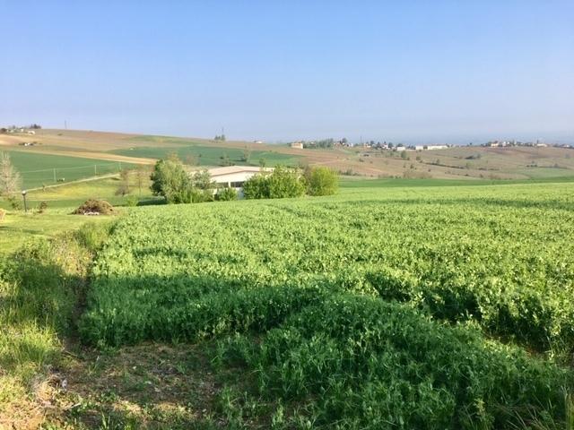 immagine annuncio 0 di 5