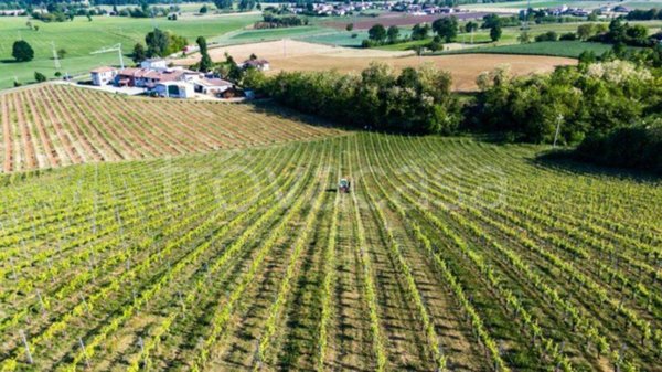 azienda agricola in vendita a Borgonovo Val Tidone