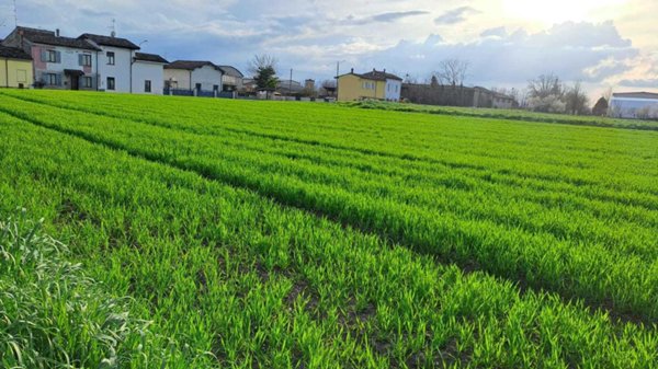 casa indipendente in vendita a Borgonovo Val Tidone in zona Mottaziana