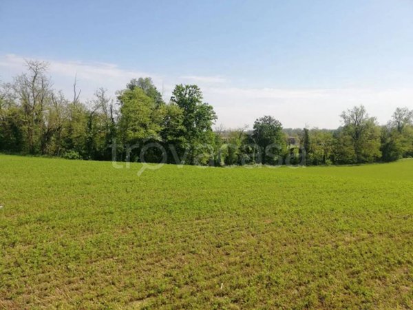 terreno agricolo in vendita a Borgonovo Val Tidone