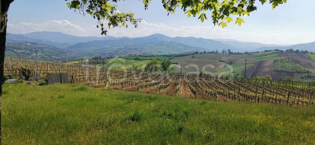 terreno agricolo in vendita a Borgonovo Val Tidone in zona Corano
