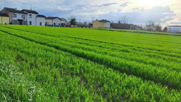 casa indipendente in vendita a Borgonovo Val Tidone in zona Mottaziana