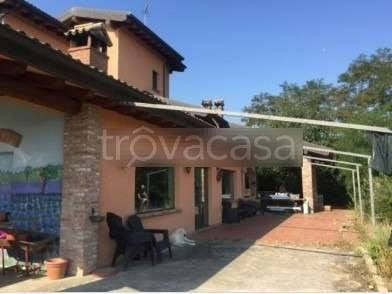 negozio in vendita a Borgonovo Val Tidone