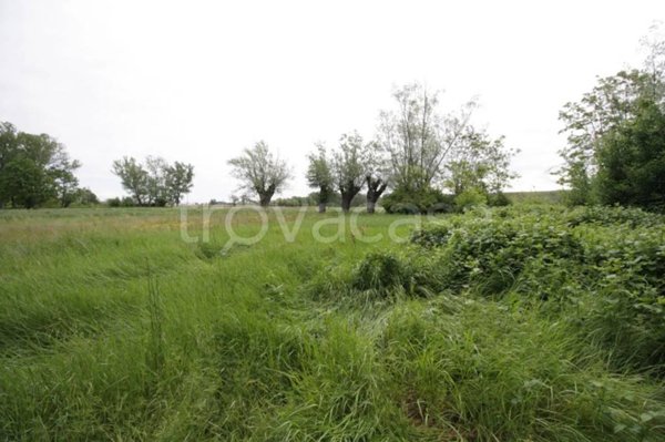 terreno agricolo in vendita a Borgonovo Val Tidone in zona Fabbiano