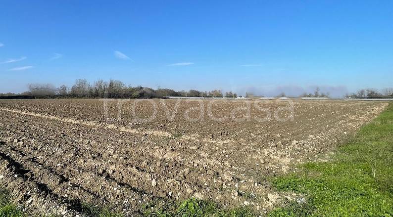 terreno agricolo in vendita a Calendasco