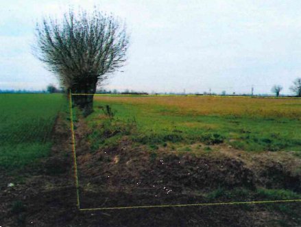 terreno agricolo in vendita a Calendasco