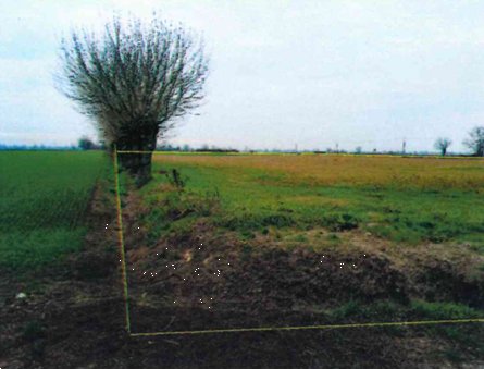 terreno agricolo in vendita a Calendasco