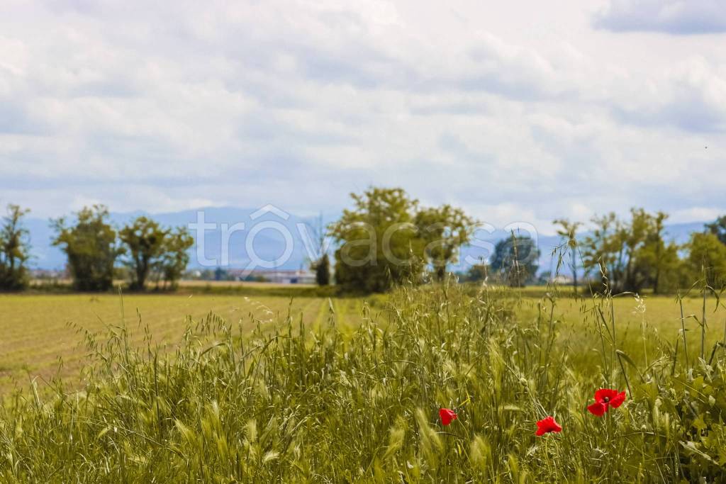 bifamiliare in vendita a Calendasco