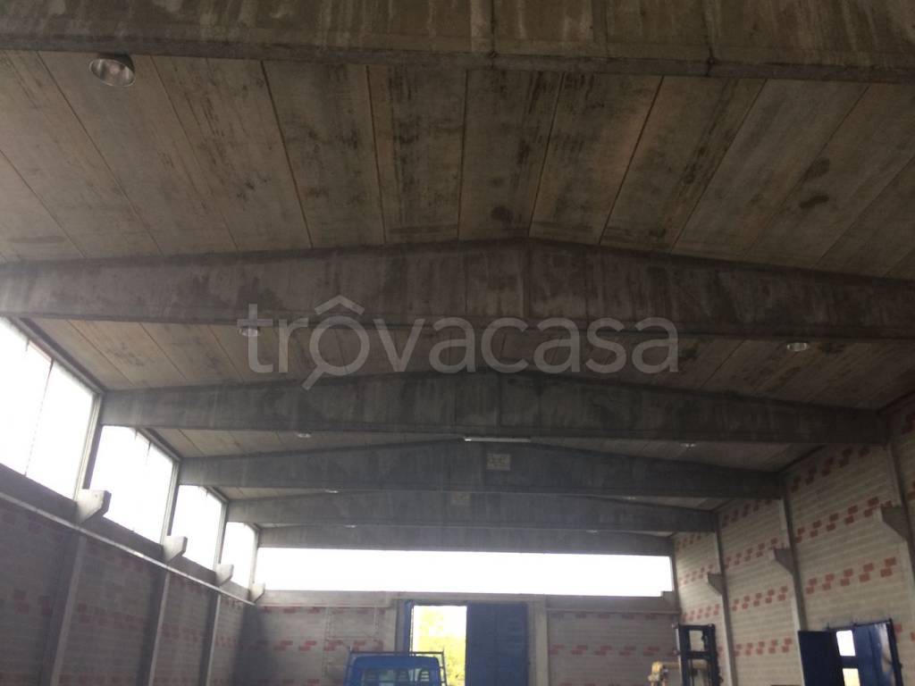 capannone in vendita a Caorso