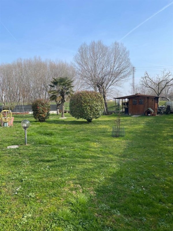immagine annuncio 0 di 15