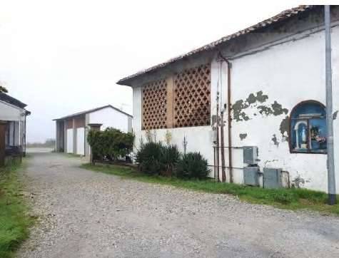 casa indipendente in vendita a Caorso