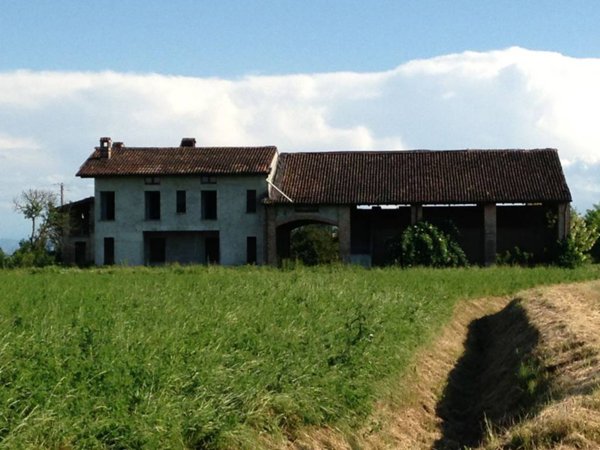 negozio in vendita a Caorso in zona Roncarolo