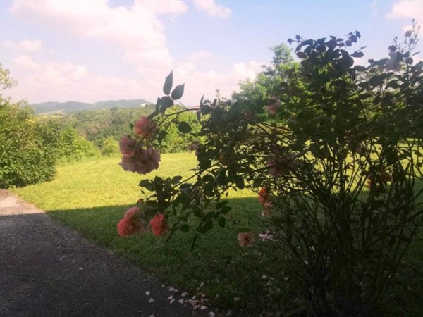 casa indipendente in vendita a Carpaneto Piacentino in zona Magnano