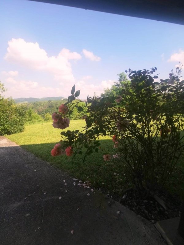 casa indipendente in vendita a Carpaneto Piacentino in zona Magnano