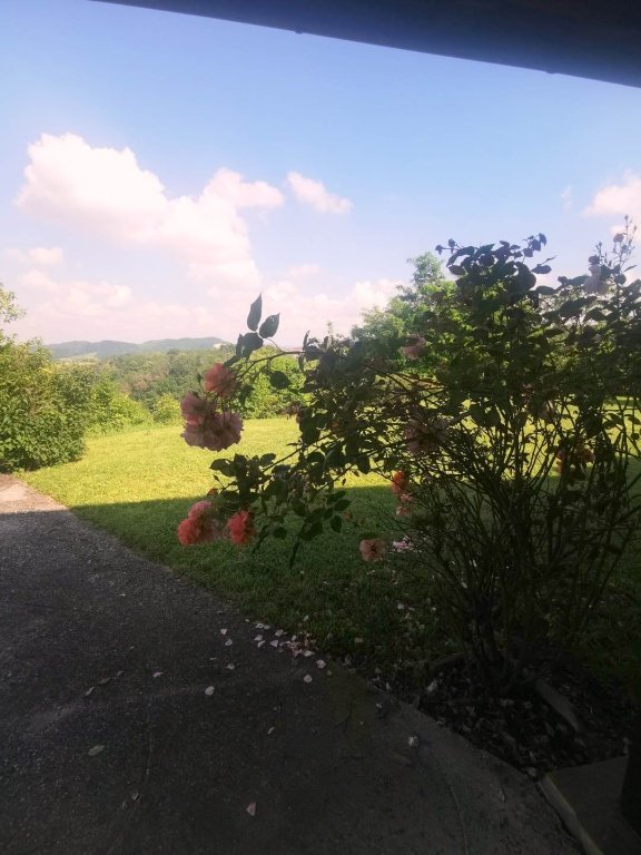 casa indipendente in vendita a Carpaneto Piacentino in zona Magnano