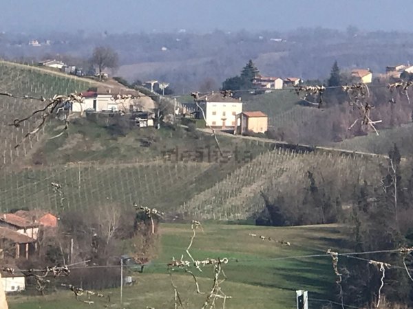 esavano in vendita a Carpaneto Piacentino