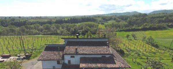 casa indipendente in vendita a Carpaneto Piacentino in zona Travazzano