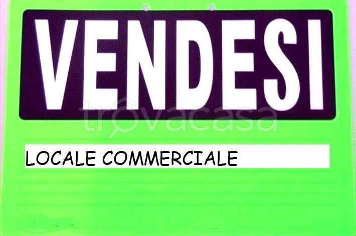 appartamento in vendita a Carpaneto Piacentino