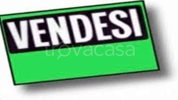 terreno edificabile in vendita a Carpaneto Piacentino