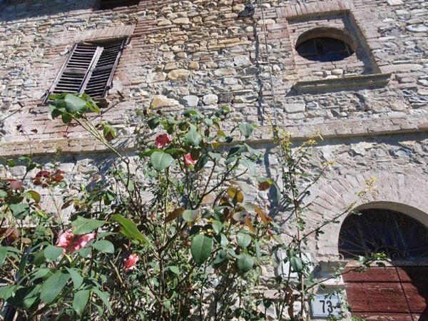casa indipendente in vendita a Carpaneto Piacentino in zona Rezzano