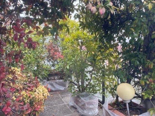 appartamento in vendita a Carpaneto Piacentino