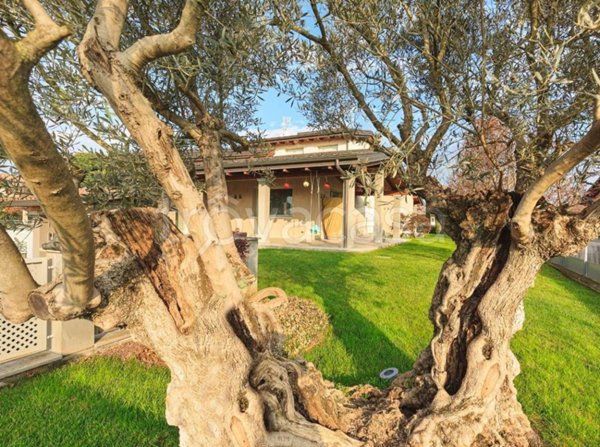 casa indipendente in vendita a Carpaneto Piacentino