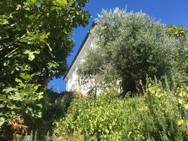 casale in vendita a Carpaneto Piacentino