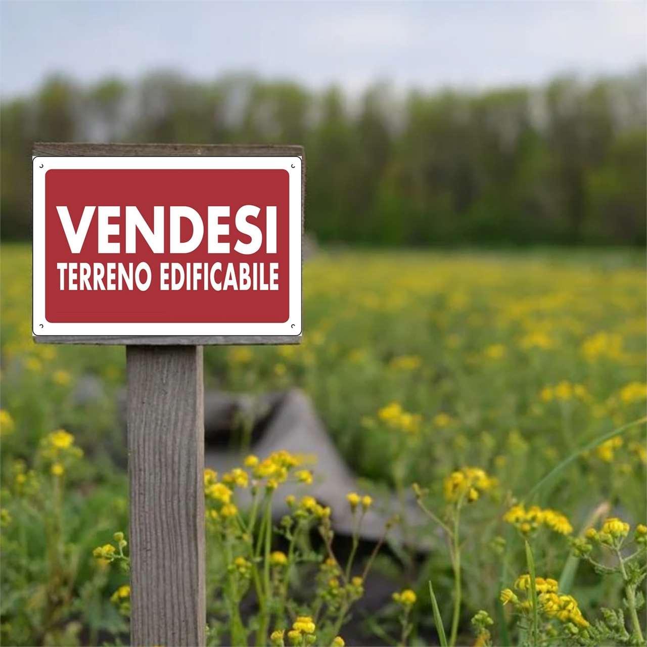 ufficio in vendita a Carpaneto Piacentino