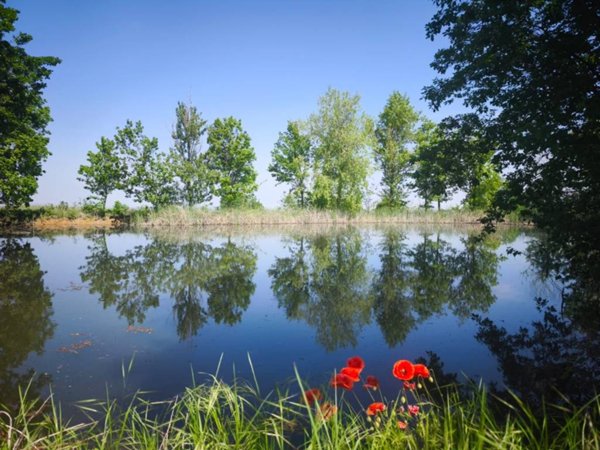 casa indipendente in vendita a Carpaneto Piacentino