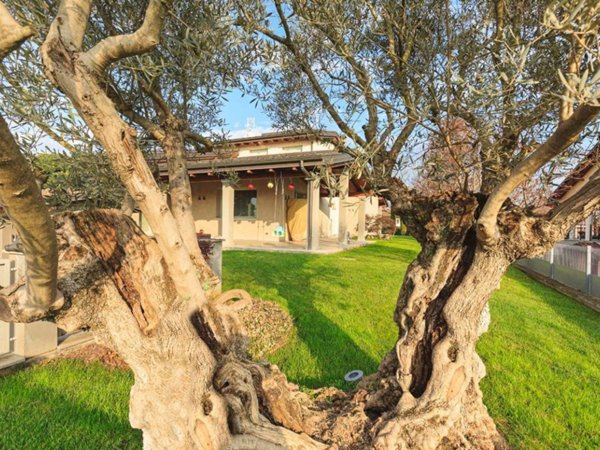 casa indipendente in vendita a Carpaneto Piacentino