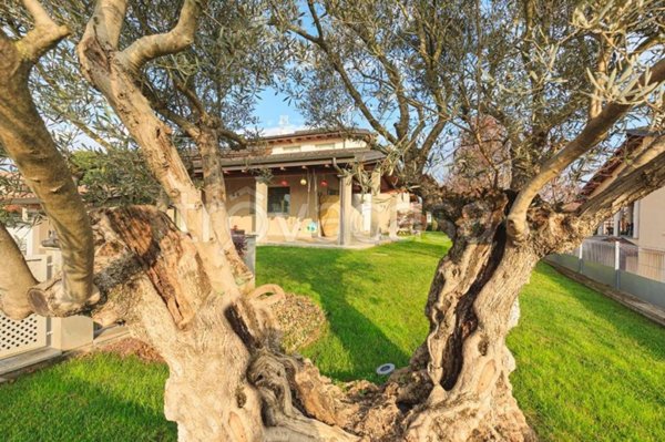 casa indipendente in vendita a Carpaneto Piacentino