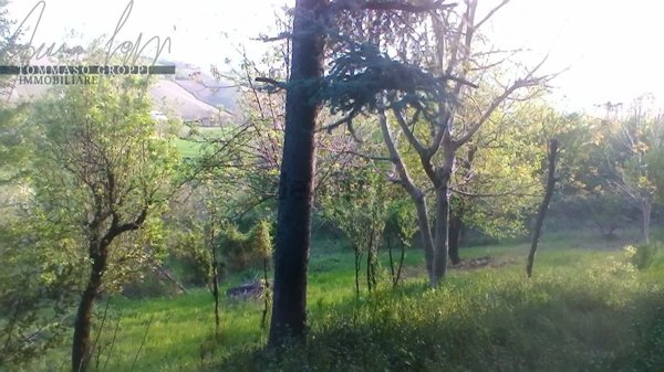 quadrivano in vendita a Castell'Arquato