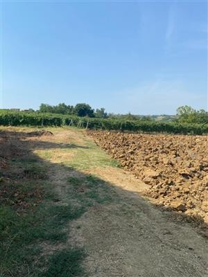 casa indipendente in vendita a Castell'Arquato in zona Vigolo Marchese