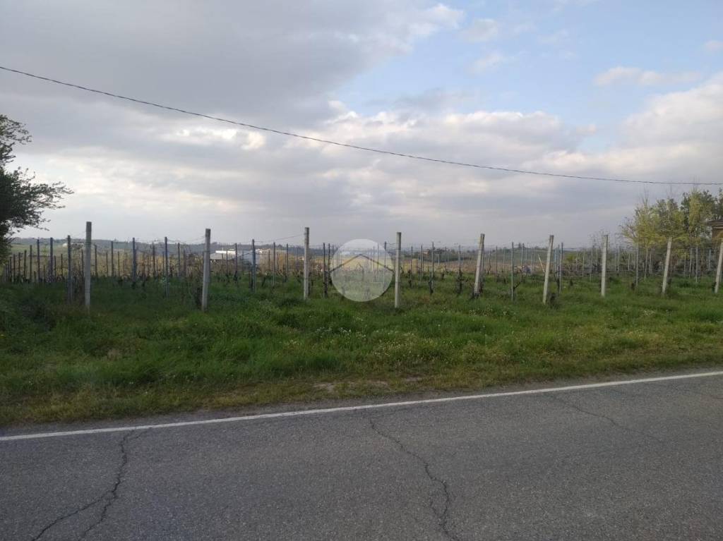 terreno agricolo in vendita a Castel San Giovanni