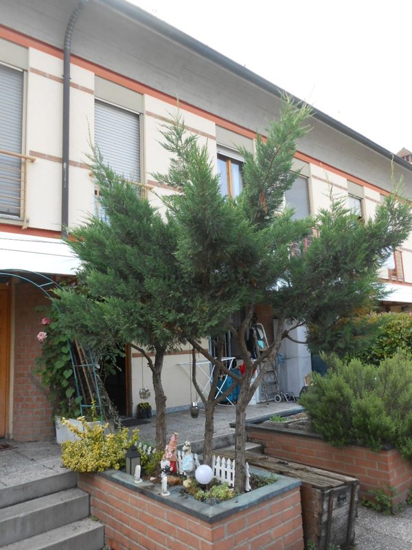 casa indipendente in vendita a Castel San Giovanni