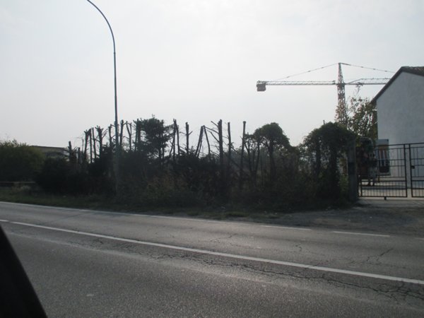 terreno edificabile in vendita a Castel San Giovanni