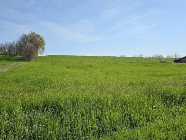terreno agricolo in vendita a Castel San Giovanni in zona Ganaghello