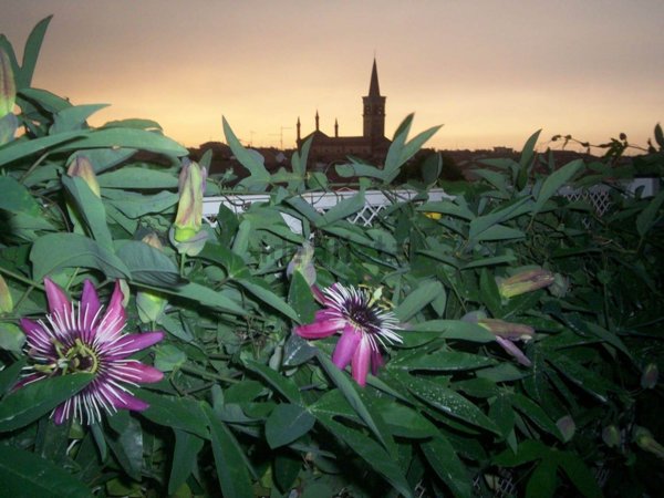 appartamento in vendita a Castel San Giovanni
