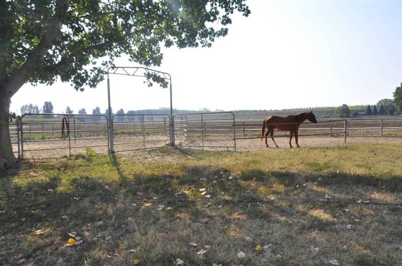 azienda agricola in vendita a Castel San Giovanni