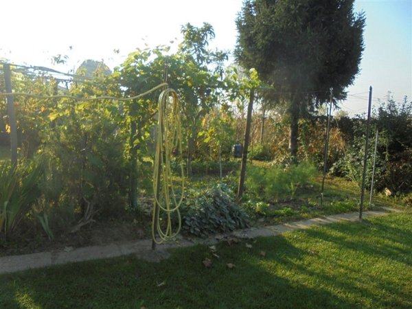 casa indipendente in vendita a Castelvetro Piacentino